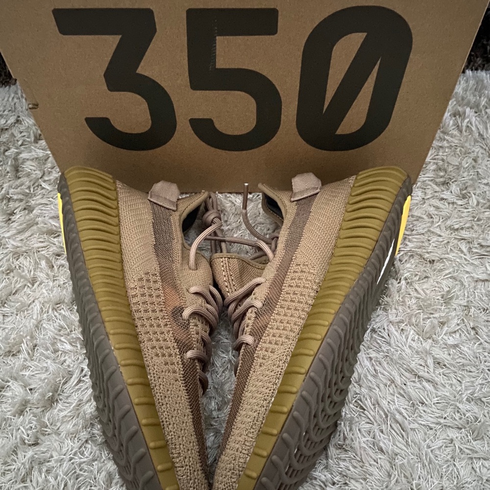 Adidas Yeezy Boost 350 Earth
